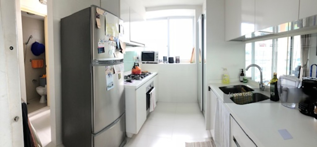 The Regency At Tiong Bahru (D3), Condominium #211980501